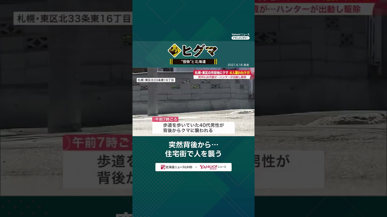77歲獵人8年上訴終勝訴：日本最高裁為熊危機下的「開槍權」翻案