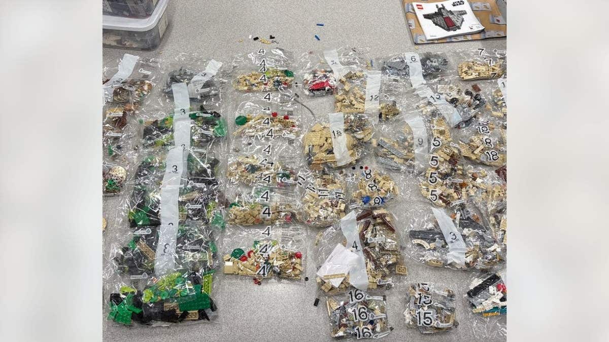 Man allegedly stole $34,000 in Legos by filling boxes with dried pasta |  Fox News