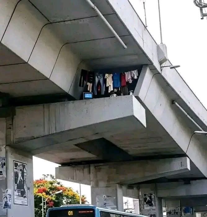 日本高速路“忍者”梗爆火