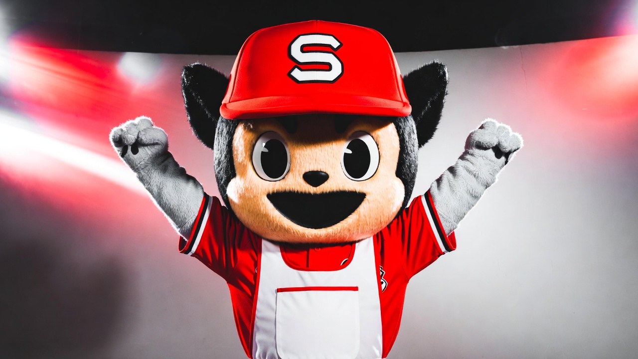 日本燕子队吉祥物つば九郎赛季复出